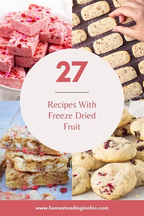 27 Freeze Dried Fruit Recipes: Delicious Ideas for Breakfast, Snacks ...