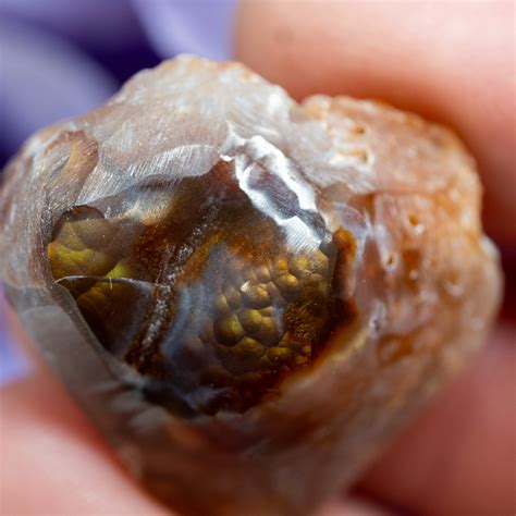 Fire Agate #7 - The Crystal Council