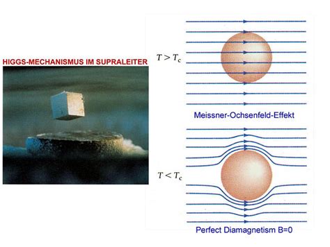 Vortex Phases