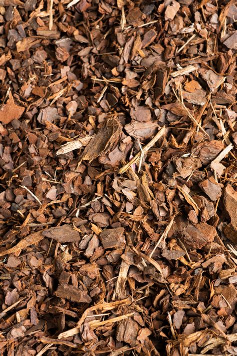 natural pine mulch lowcountry mulch