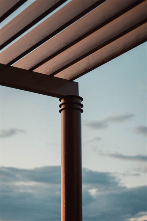 10 Best Climbing Plants for Your Pergola - A Complete Guide - Fresno ...