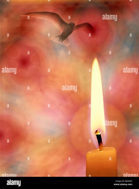 holy spirit dove fire  res stock photography  images alamy