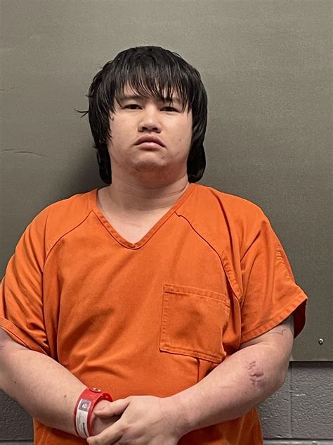 Breaking Down the Randall County Mugshot Records System 2