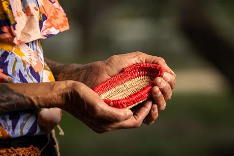 Festival celebrates Dja Dja Wurrung culture - Bendigo Times
