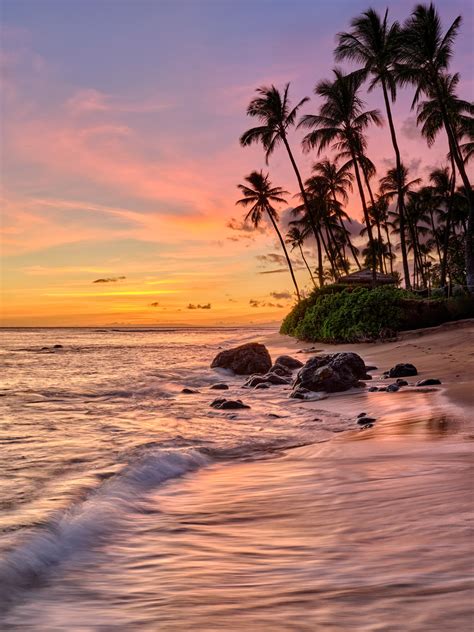 aloha kaanapali beach maui hawaii