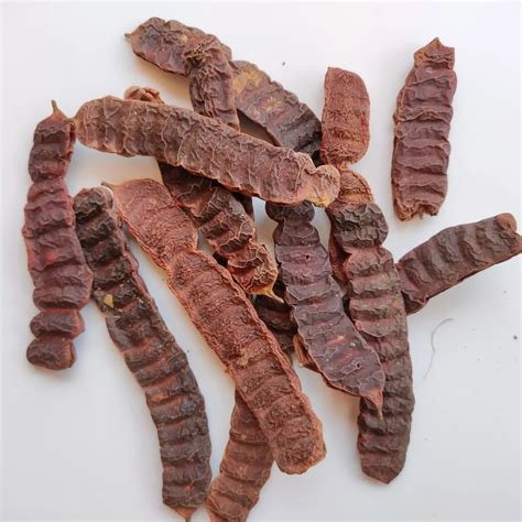 acacia concinna shikakai packaging type bag packaging size