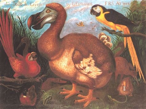 Lexicolatry: What Happened to the Dodo?