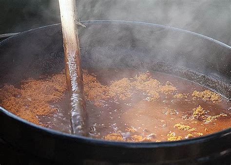 Tipsy Pork Potjie with Red Wine Recipe