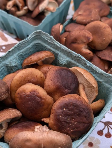 2024 vendors – Farmer’s Market of Pulaski, New York