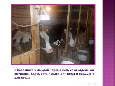 Домашнее животное Корова - Детские презентации