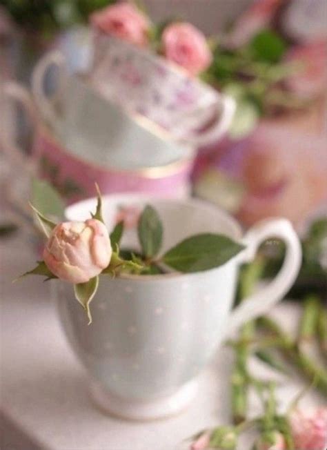 Pin by 🌺`*• ☕*`•🌺`•*🕊️ michèle on Pink & White | Tea roses, Rose ...