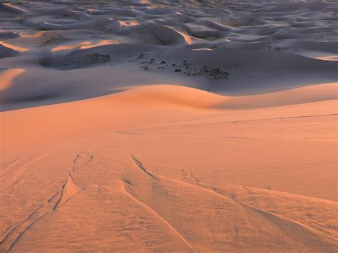 Mongolia As Far as The Eye Can See — The Journal of Lost Time