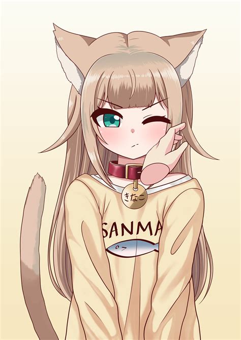 Osakana Neko Wallpapers - Wallpaper Cave