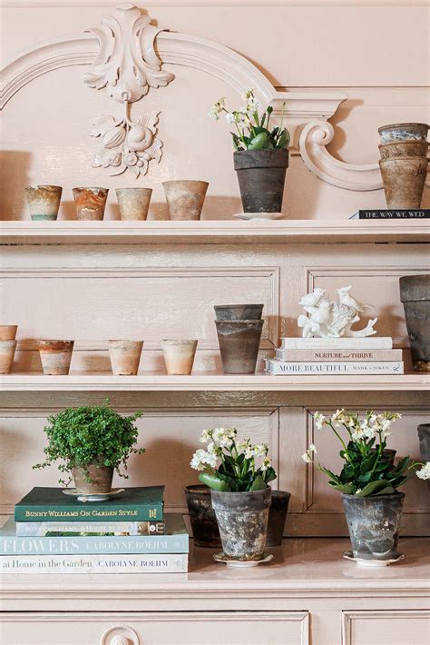 Chloe Camille Photography