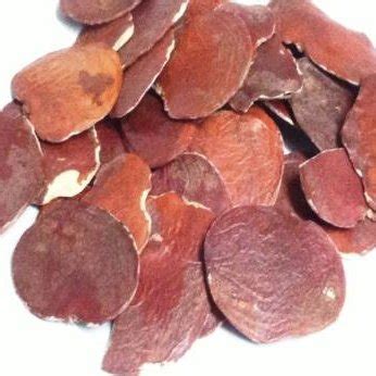 Flowers of Palash 13 | Download Scientific Diagram