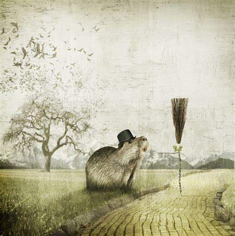 That Animal on Behance