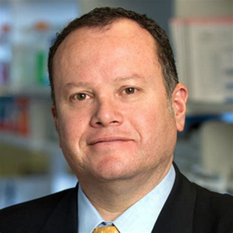 Rafael Fonseca, MD, FACP