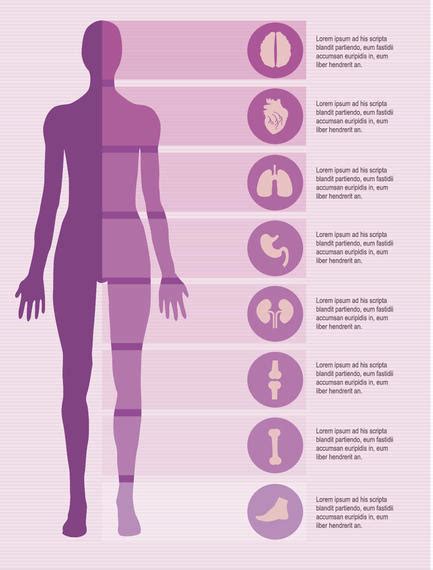 Female Body Vector at GetDrawings | Free download