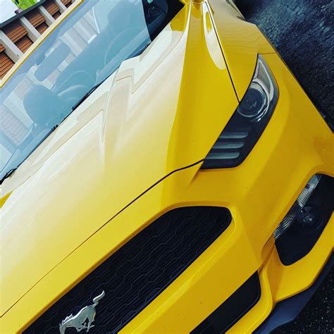 TW Pornstars - Macy Cartel. Twitter. Vroom Vroom. Getting ready for