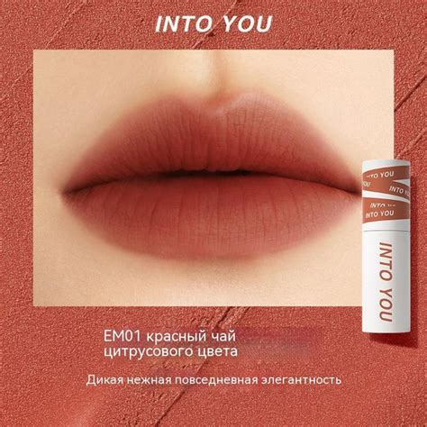 Into You Губная Грязевая Губная Помада - купить с доставкой по выгодным ...