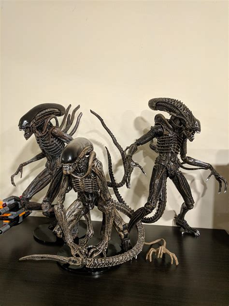 NECA xenomorphs RULE!! : r/LV426