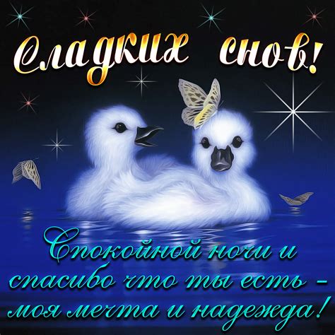 Открытка сладких снов с утятами в воде