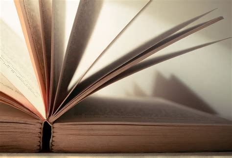 Book talk: 3 reads for Anzac Day | Canberra Daily