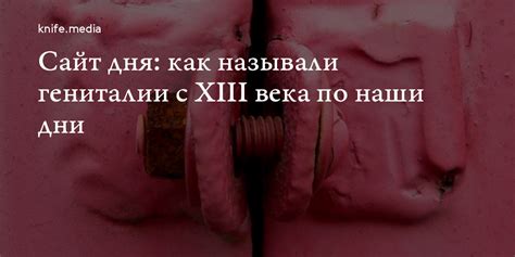 Сайт дня: как называли гениталии с XIII века по наши дни — Нож