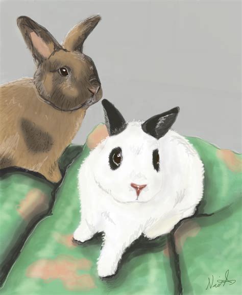 Artworks – Nicole H. Fratianni