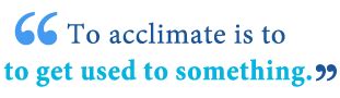 Acclimation vs. Acclamation: What’s the Difference? - Writing Explained