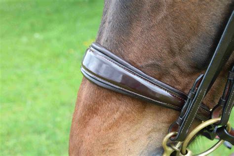DIY Kandarenzaum "Pia" (konisch, Lack) - Horsefashion Shop
