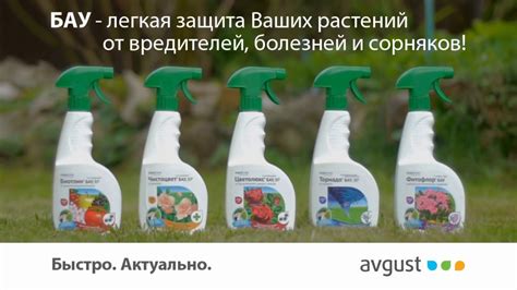 Цветолюкс и Чистоцвет БАУ - YouTube