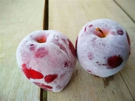 imported  grade frozen apple impoted packaging size  kg packaging