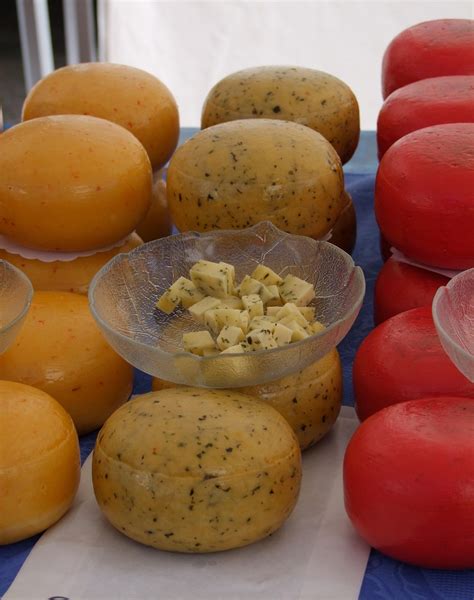 Cheese Cheeses Herb - Free photo on Pixabay - Pixabay