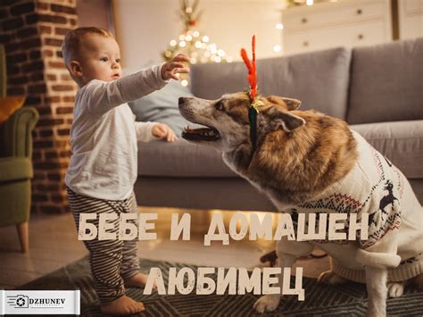 Бебе и домашен любимец - най-добри приятели за цял живот - Много мило ...