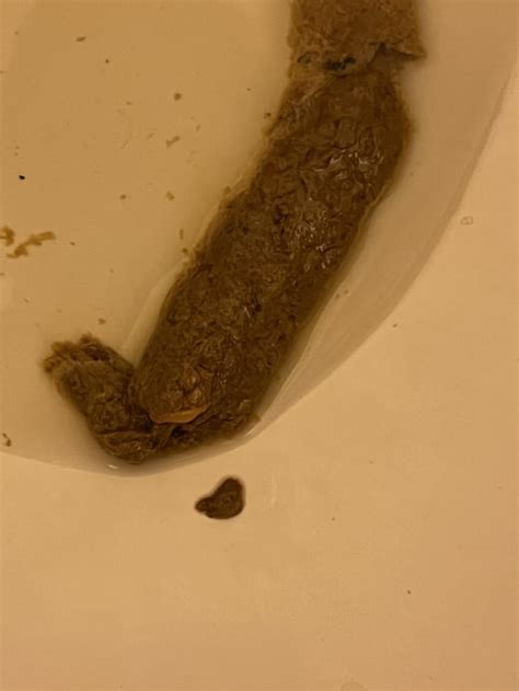 Healthy Poop : r/poop
