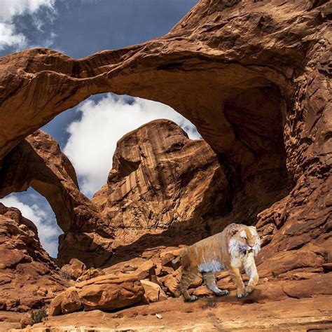 Ennedi Tiger - Mokele Mbembe