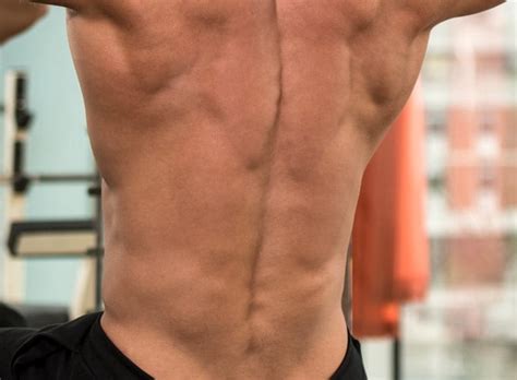 Lower Back Workouts At Home