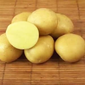 Картофель Метеор: описание сорта, фото, отзывы о вкусовых качествах ...