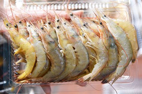cac loai tom bien ngon nhat tai viet nam huong  chon mon ngon va