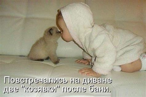 Лучшие картинки