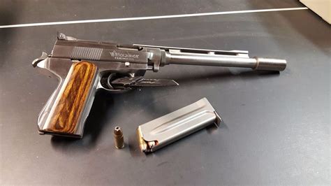 wildey    flesh guns