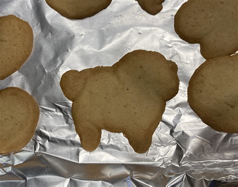 Buff cookie horse : r/DonutMedia