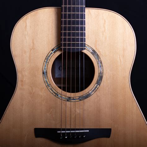 Guitars — Dammann Custom Instruments