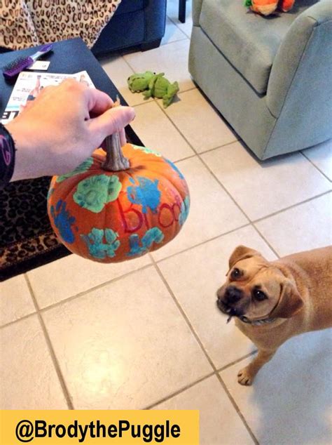 Paw Print Pumpkin Painting | Dog paw art, Dog paw print art, Dog paw ...