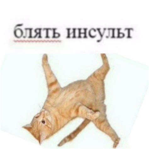 Pin on мемчіки