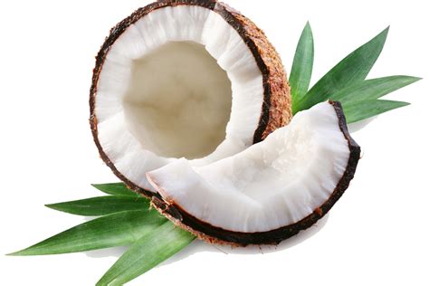 Free Transparent Coconut, Download Free Transparent Coconut png images ...