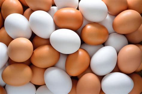 FVO report – Eggs and egg products in UK – FOOD LAW LATEST