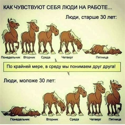 А кони как люди | Смешные мемы, Смешной юмор, Смешные шутки