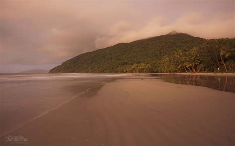daintree queensland australian geographic